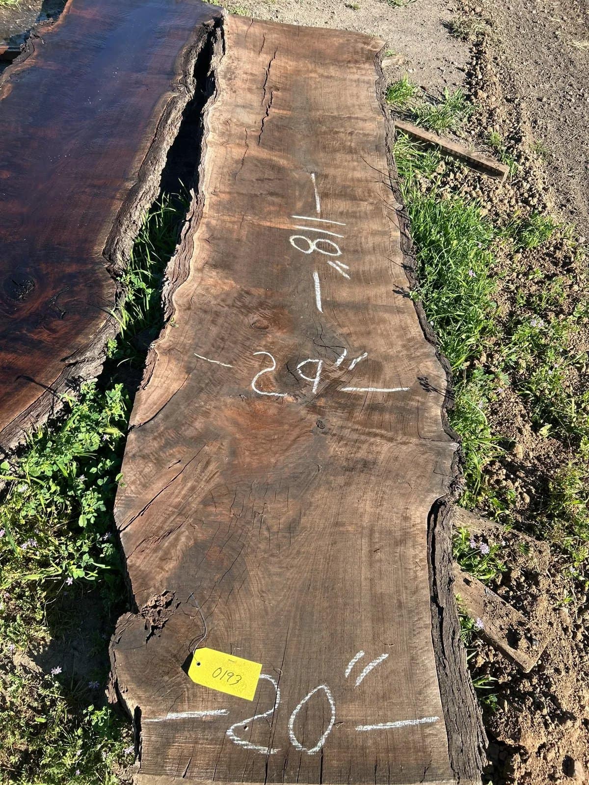 black-walnut-slab-5e7096