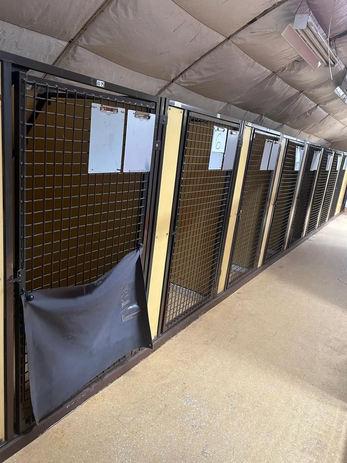 9-dog-kennels-mnjhforx