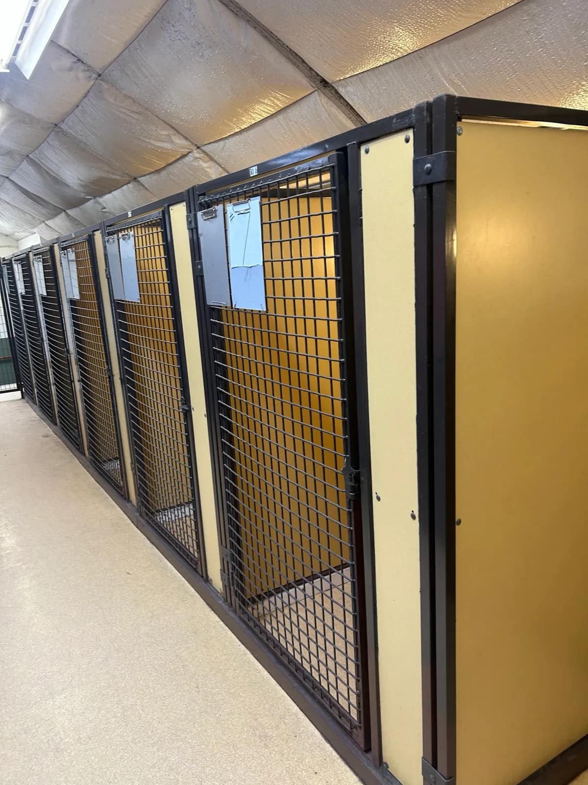 7-dog-kennels-mnj96lkd