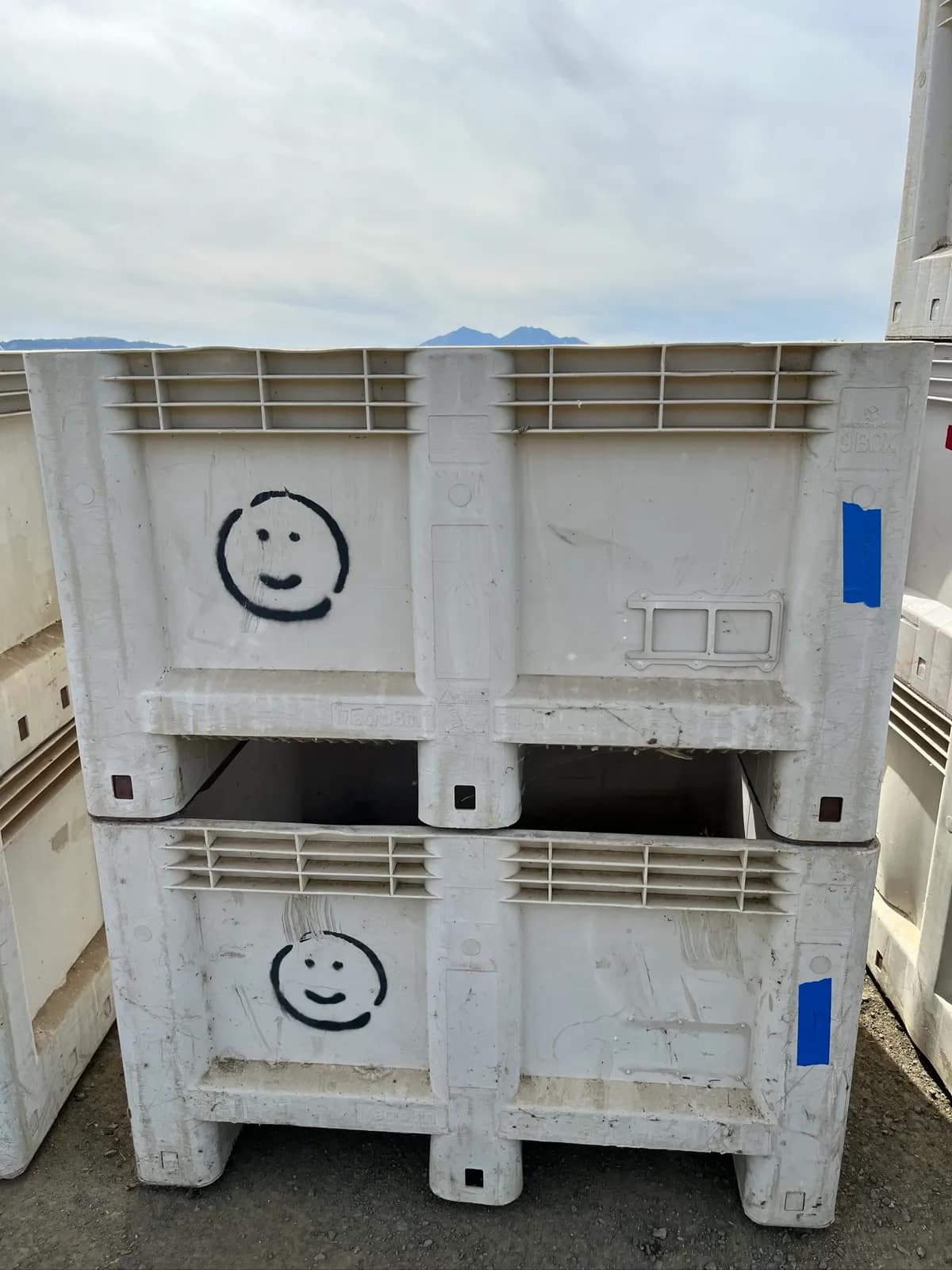 set-of-2-macro-bins-lot-15-moeng1cc