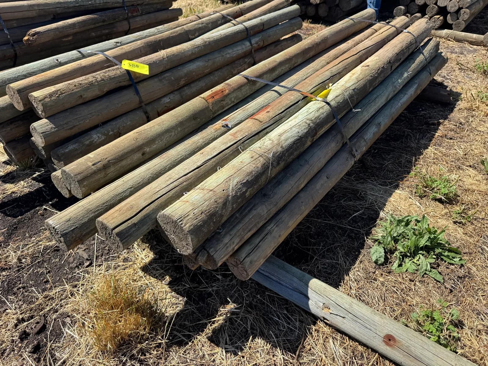 approximately-20-9-wood-posts-0387-1779478674429-mphbnoql