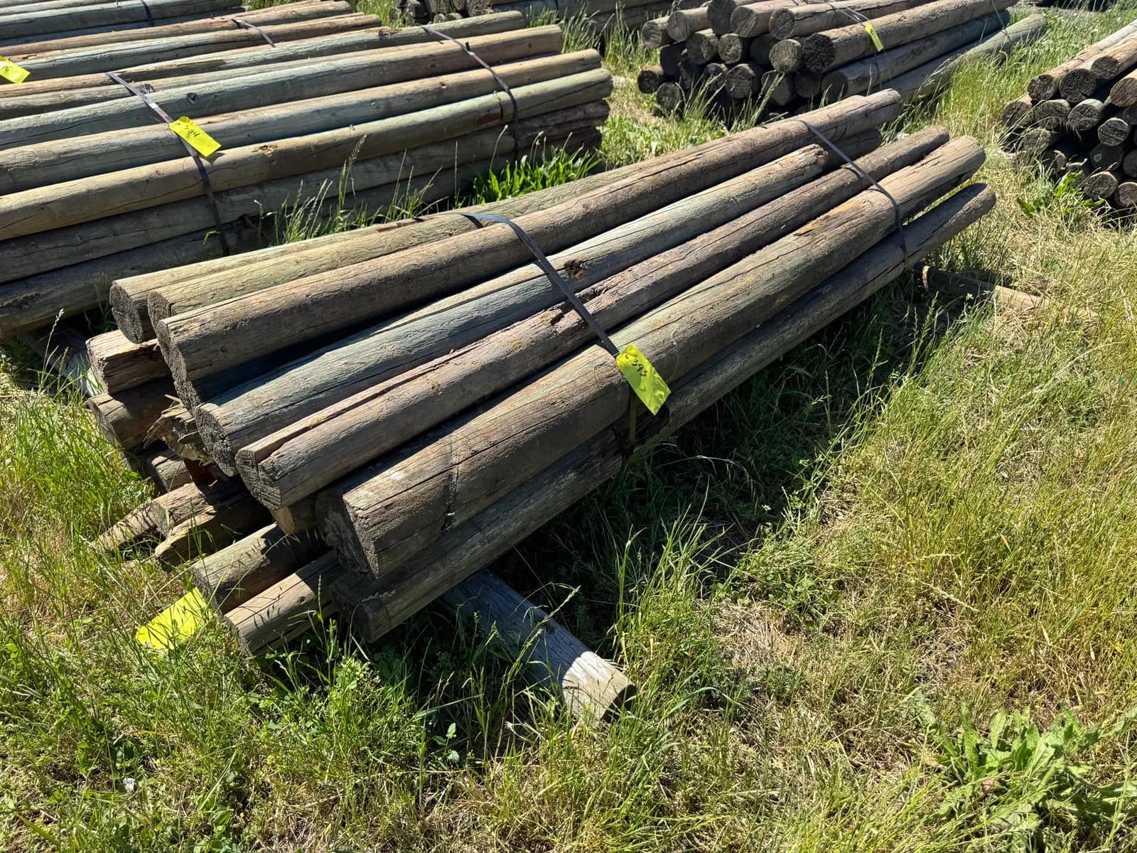 approximately-20-9-wood-posts-0393-1779478674841-mphbnp21