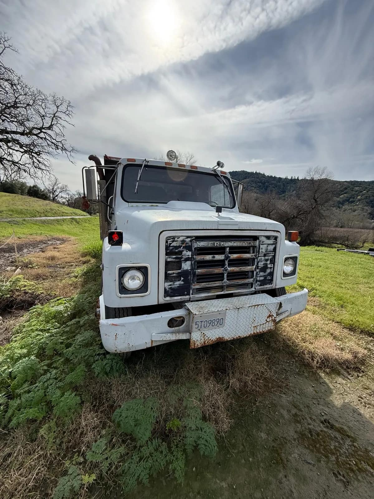 1981-international-dump-truck-msgeyzq7