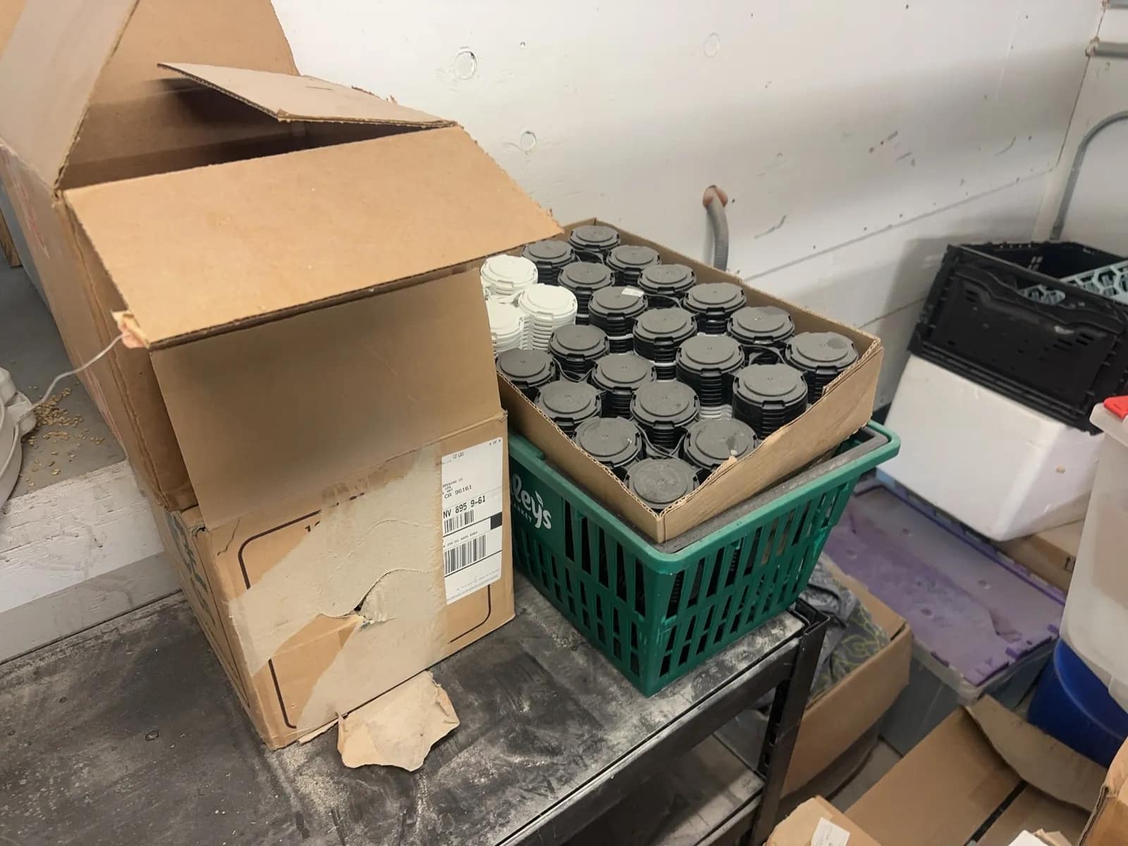 Bulk Lot: Kegs, Bottles, Clamps, Valves, Caps, Storage Racking, And More, photo 5 of 14