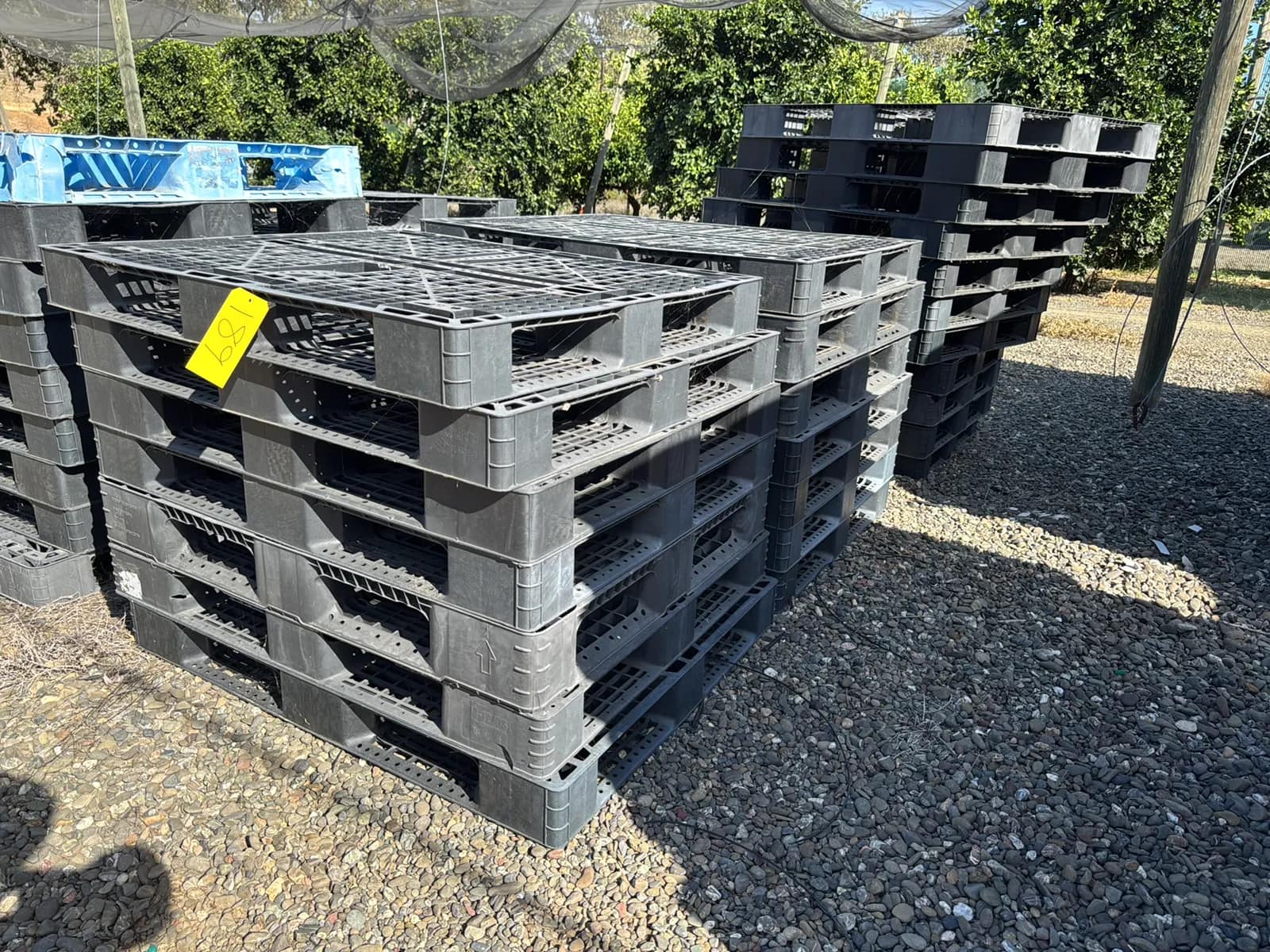 contents-of-row-20-plastic-pallets-mtlsn69n