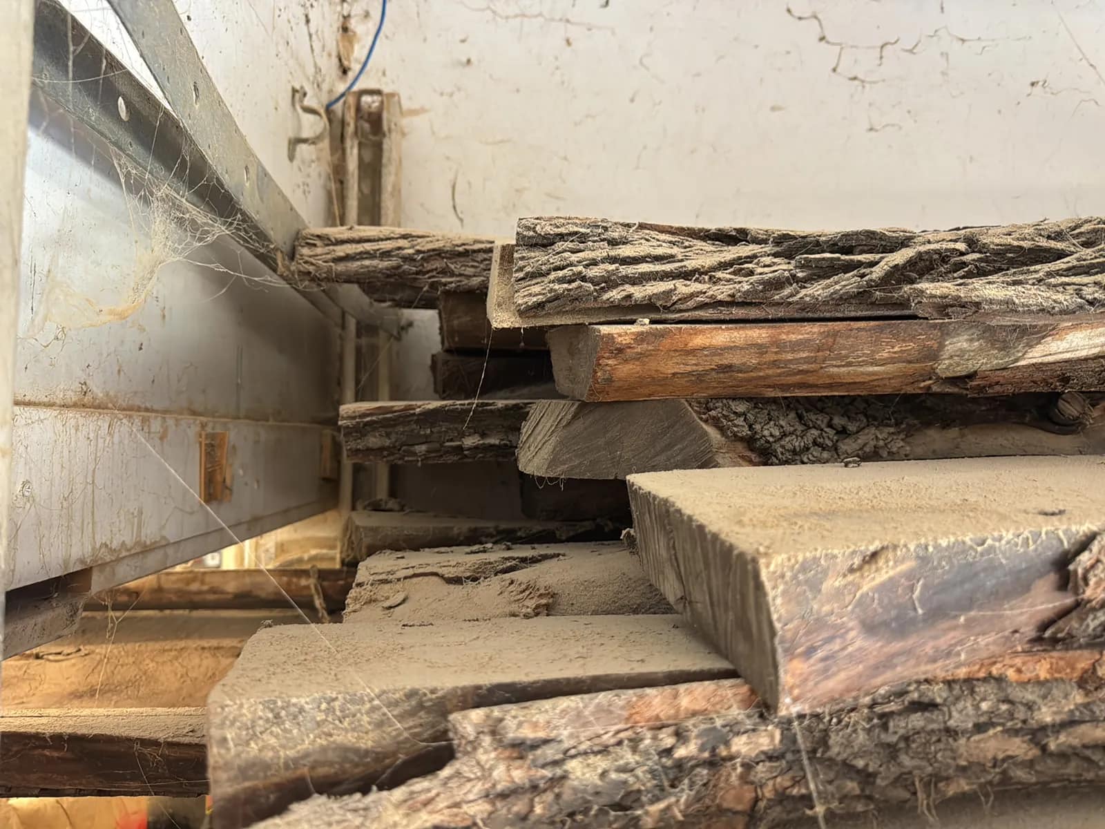 Bulk Lot: Assorted Live Edge Wood Slabs, photo 7 of 8