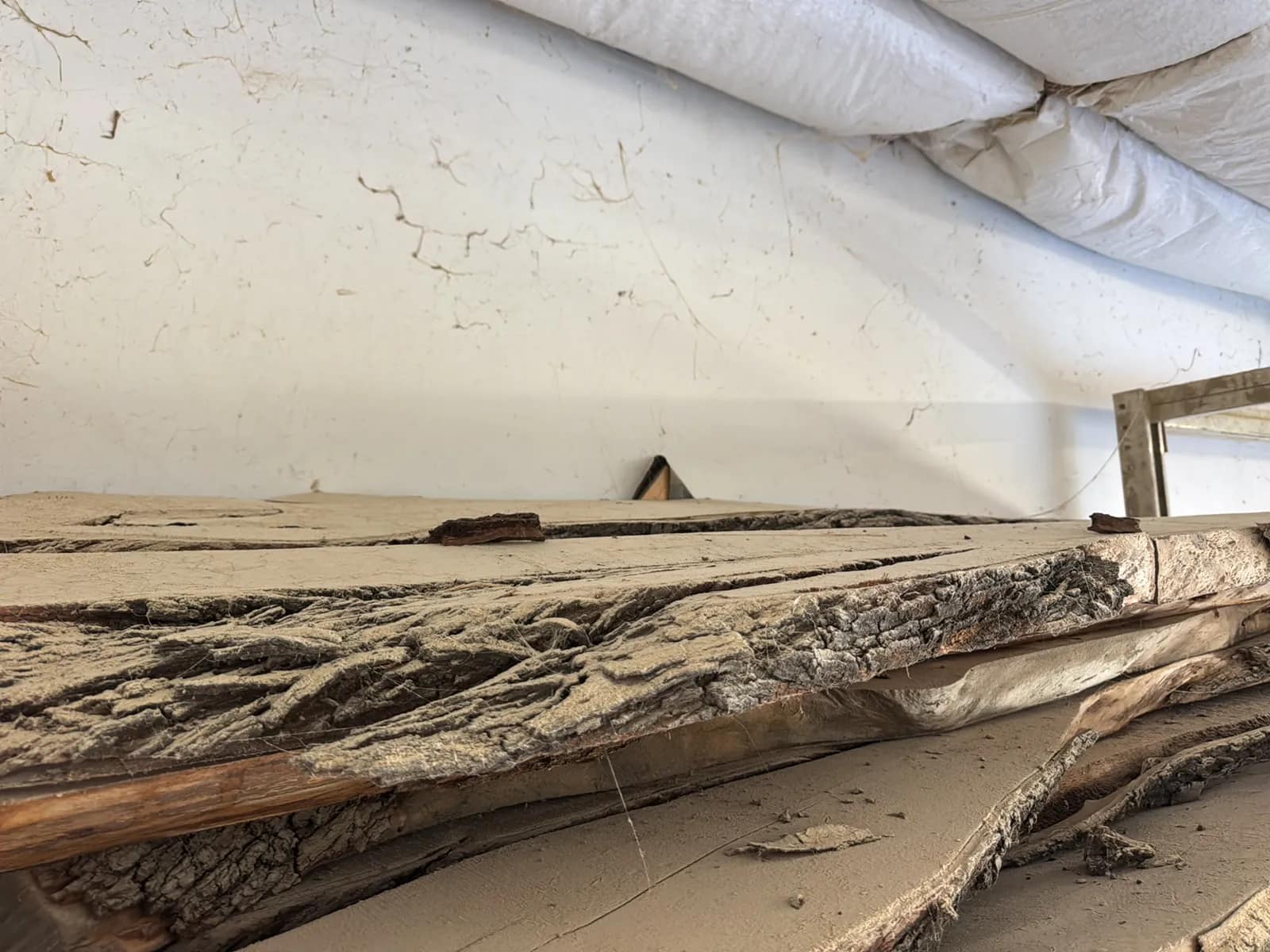 Bulk Lot: Assorted Live Edge Wood Slabs, photo 8 of 8
