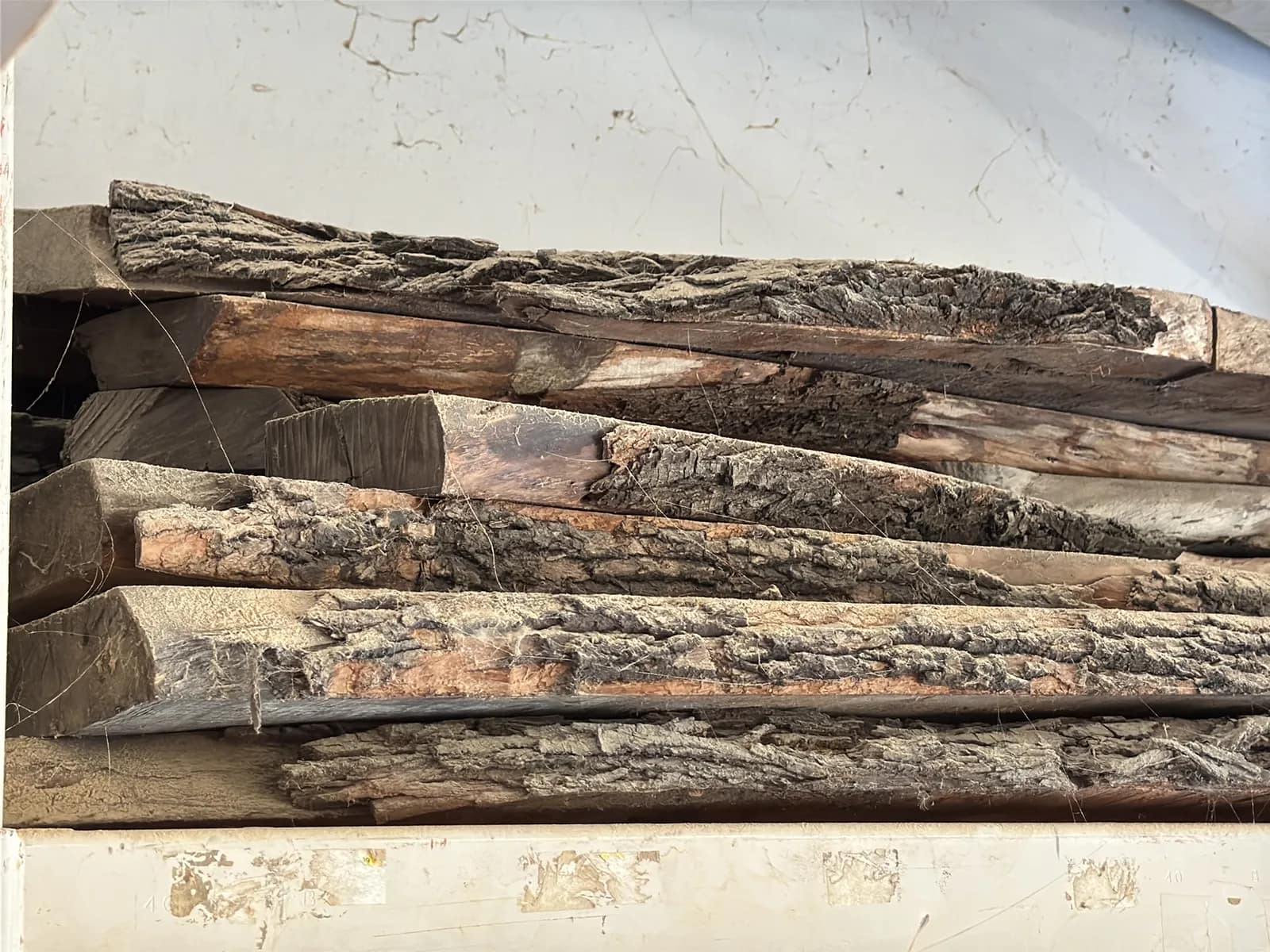 Bulk Lot: Assorted Live Edge Wood Slabs, photo 4 of 8