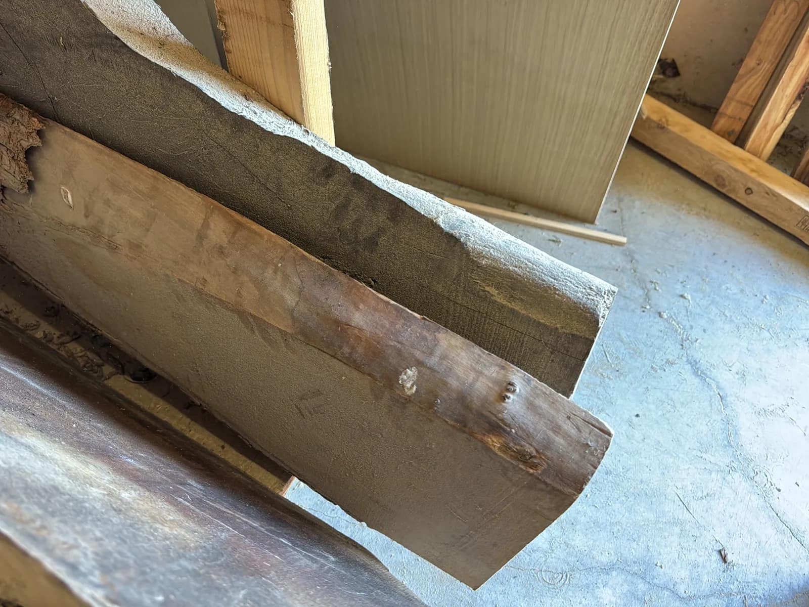 Contents Of Rack: Live Edge Slabs, Vaneer, And Safety Fencing, photo 7 of 21