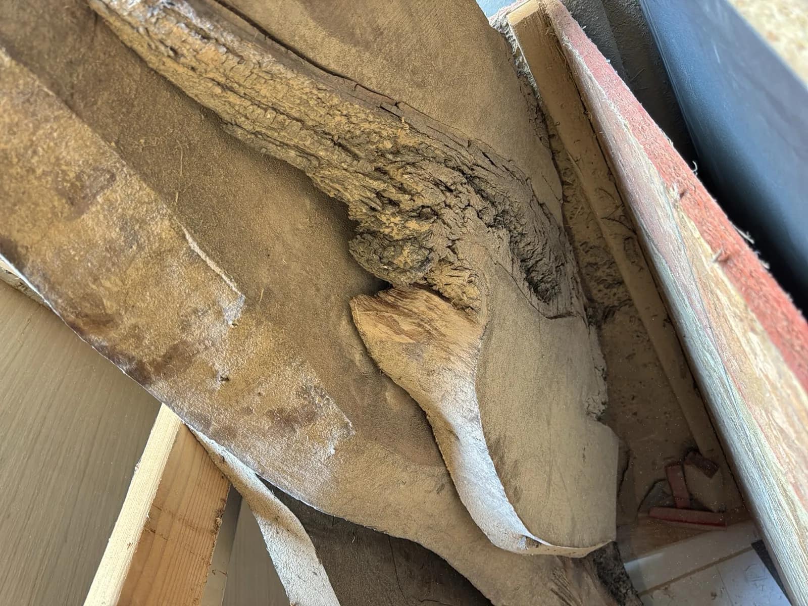 Contents Of Rack: Live Edge Slabs, Vaneer, And Safety Fencing, photo 3 of 21
