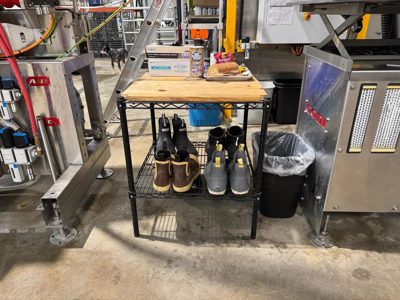 Metro Style Rack And Contents: Shoes, And Gloves, photo 1 of 8