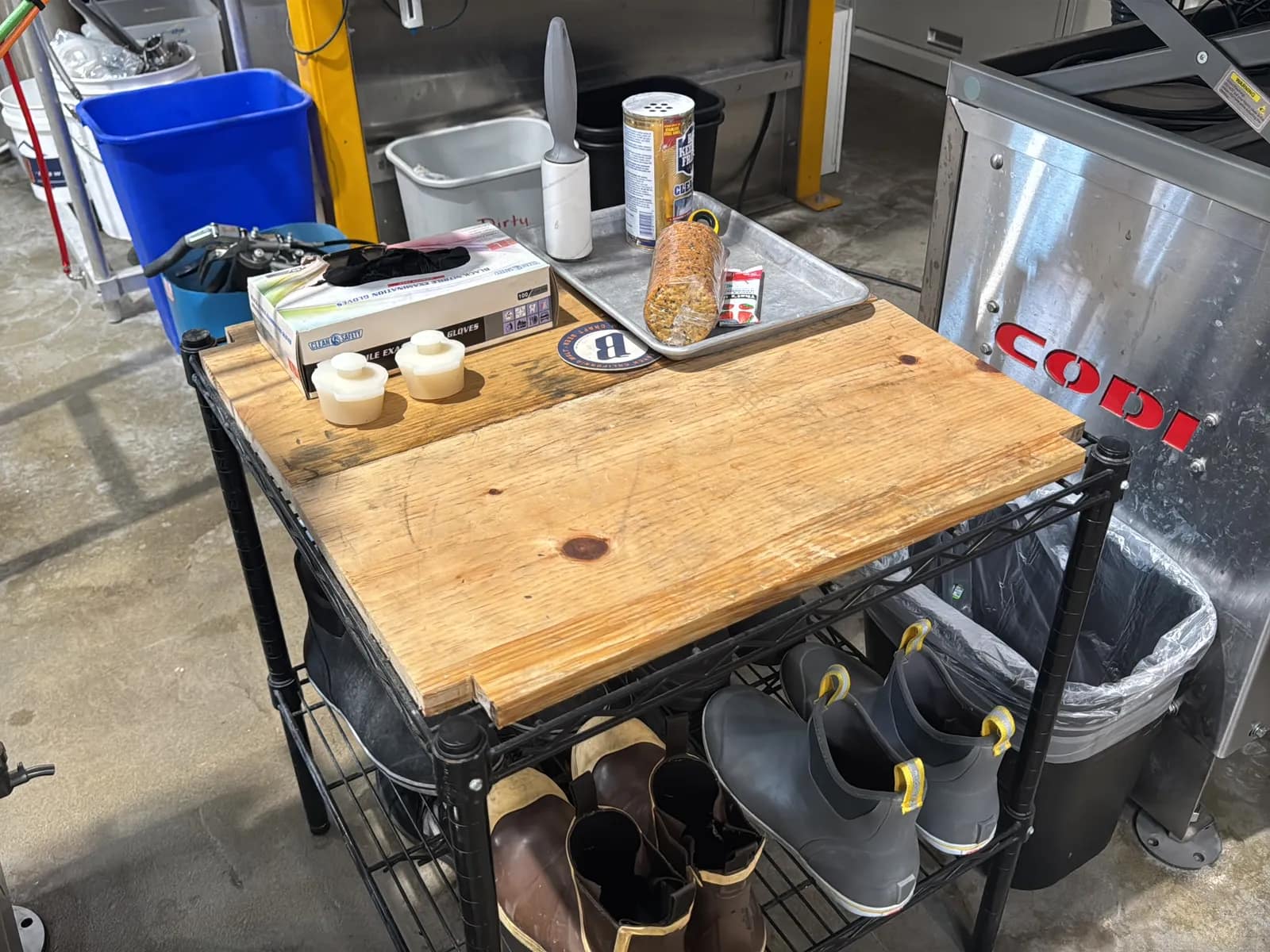 Metro Style Rack And Contents: Shoes, And Gloves, photo 2 of 8