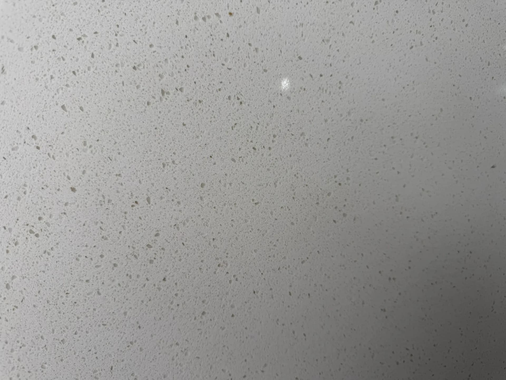 (5) Daltile One Quartz: Simply White, photo 4 of 4