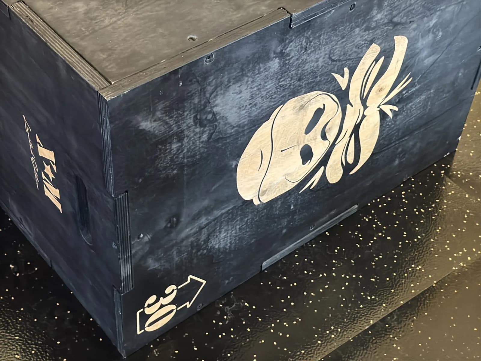 XM Xtreme Monkey Jump Box (20”, 24”, 30”), photo 4 of 5