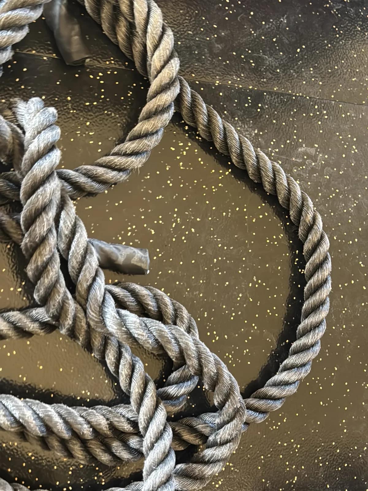 Personal Training Rope, photo 3 of 5