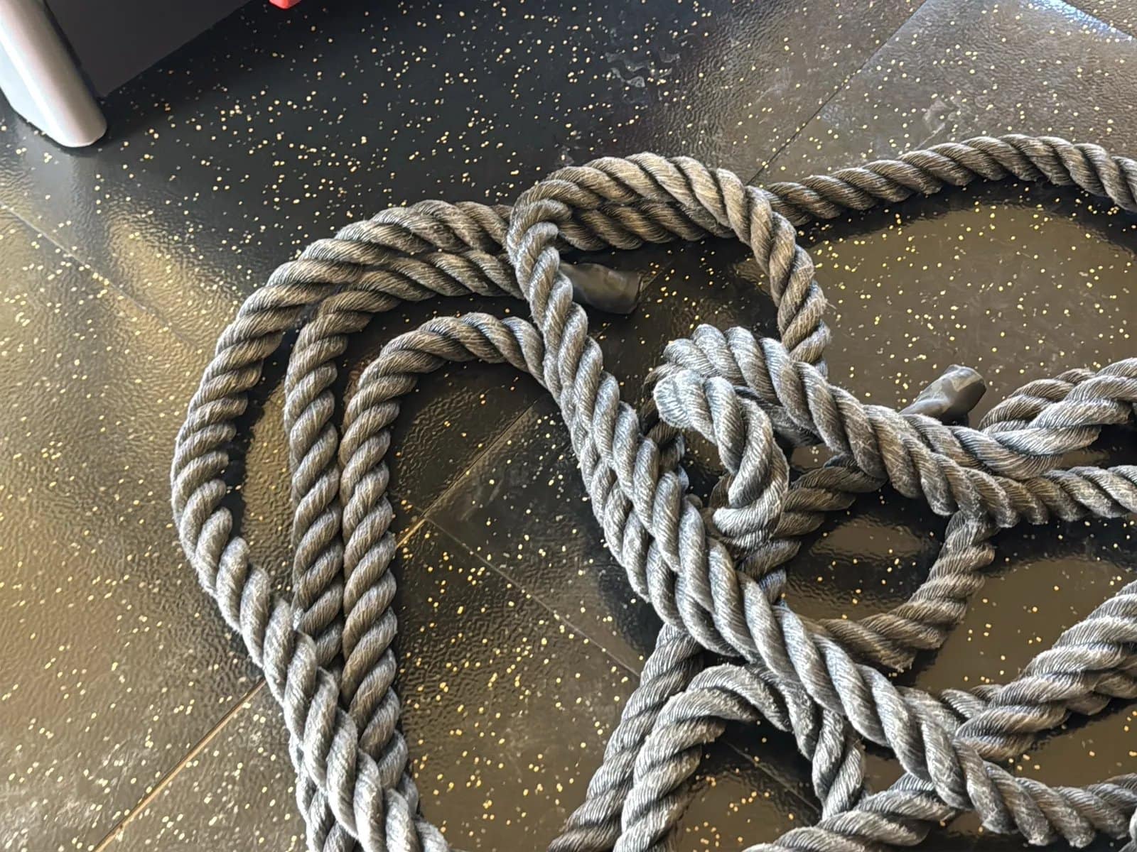 Personal Training Rope, photo 2 of 5