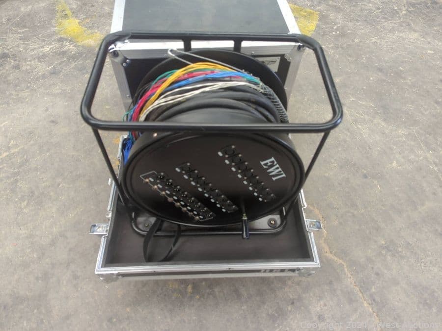 ewi-reel-snake-556279