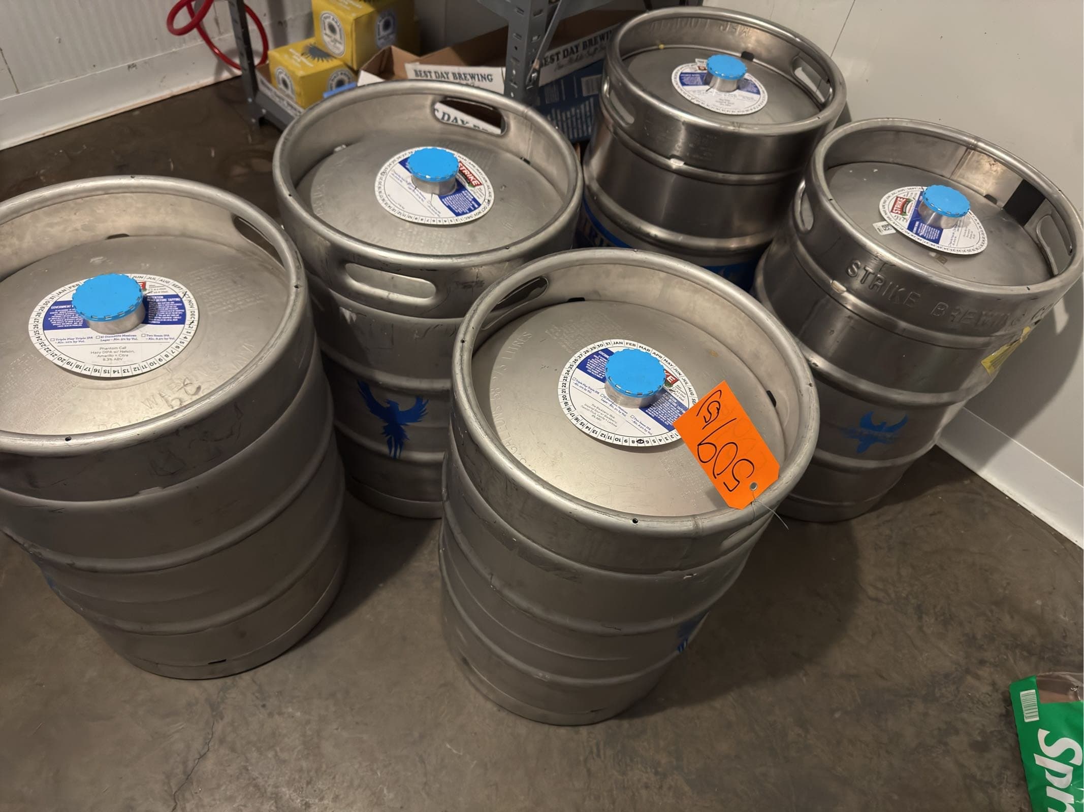 5-assorted-155-gallon-kegs-with-contents-mkebe9u7