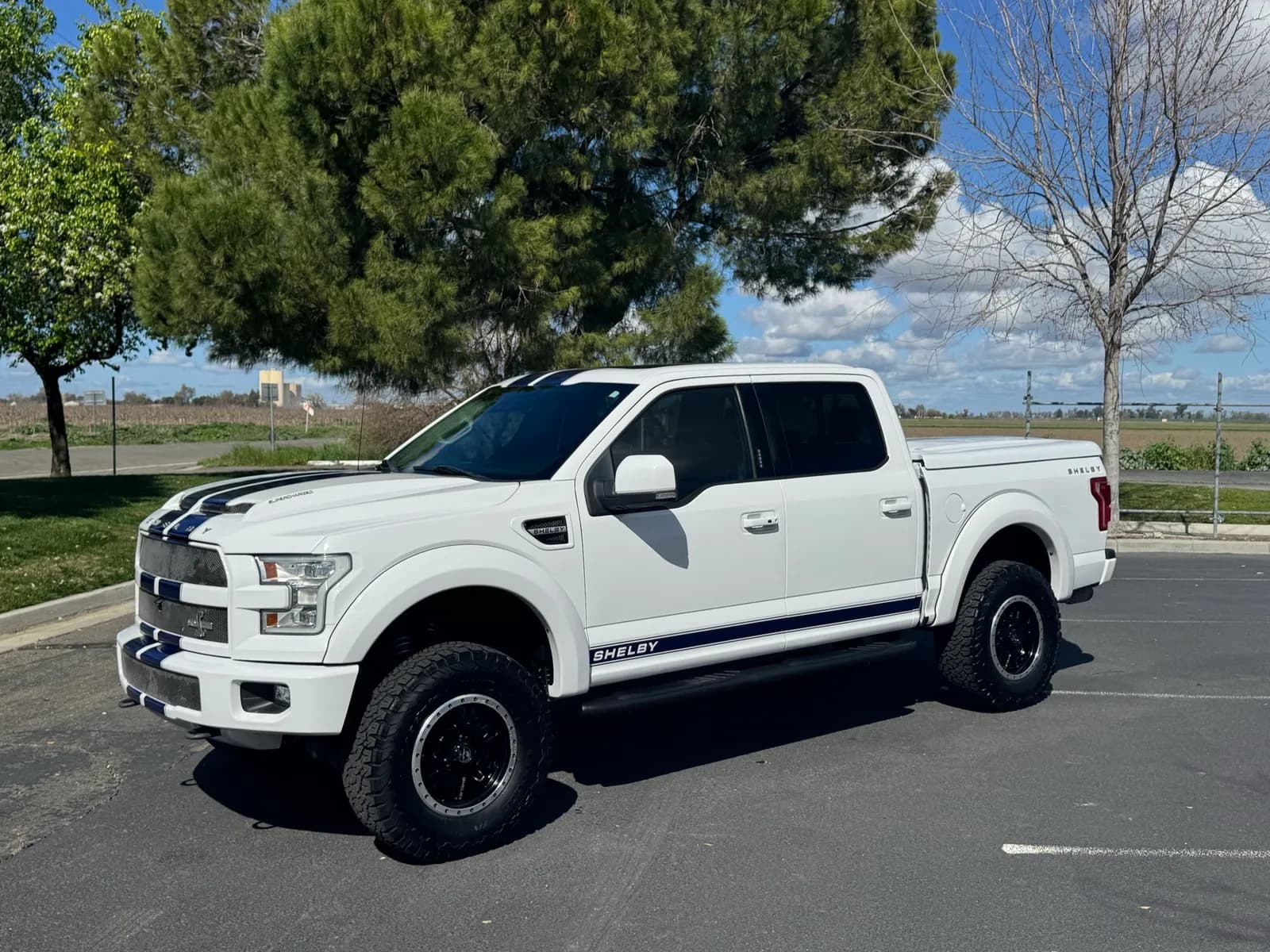 2016-ford-f150-shelby-e21cfd