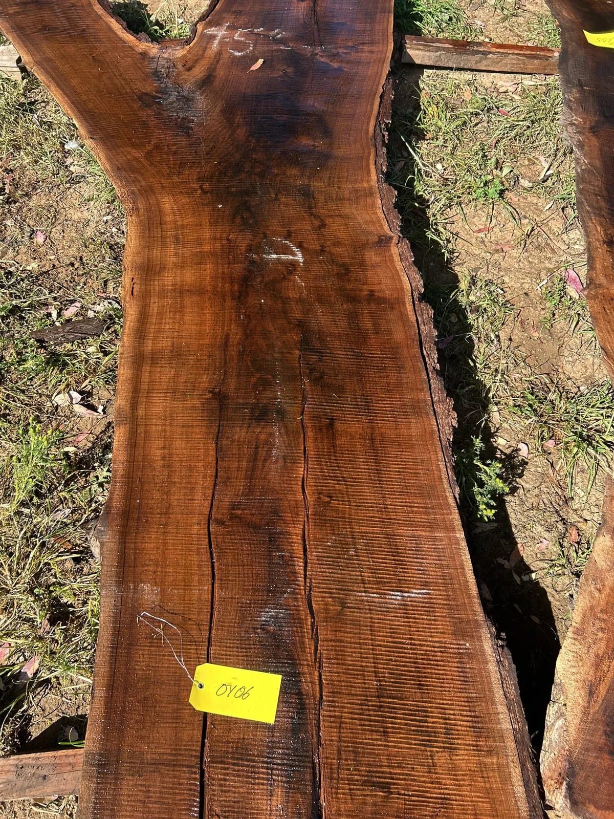black-walnut-slab-2105f0