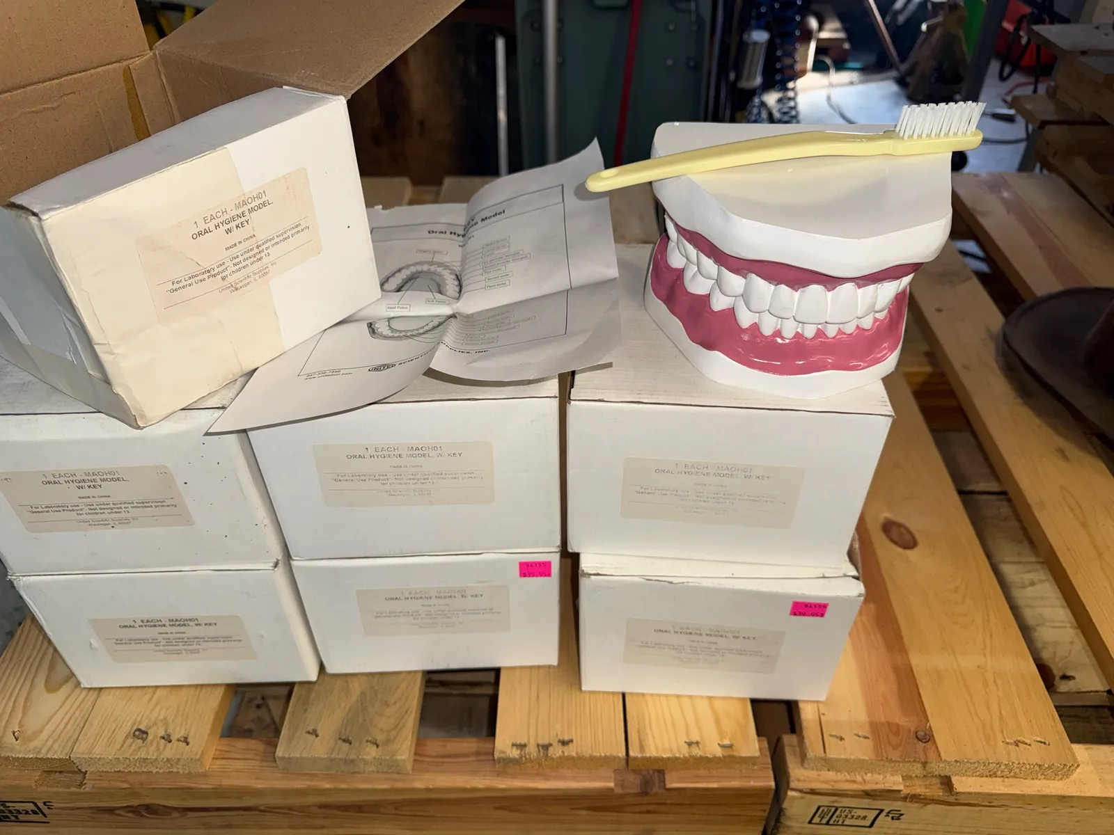 lot-of-7-united-scientific-oral-hygene-model-maoh01-new-461e94