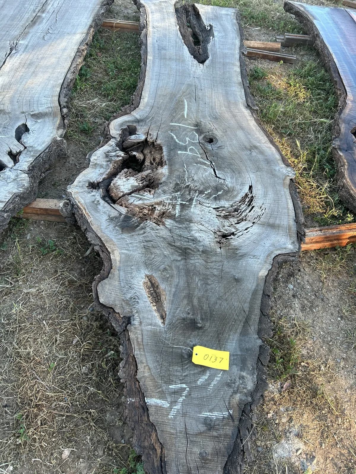 black-walnut-slab-5685fa