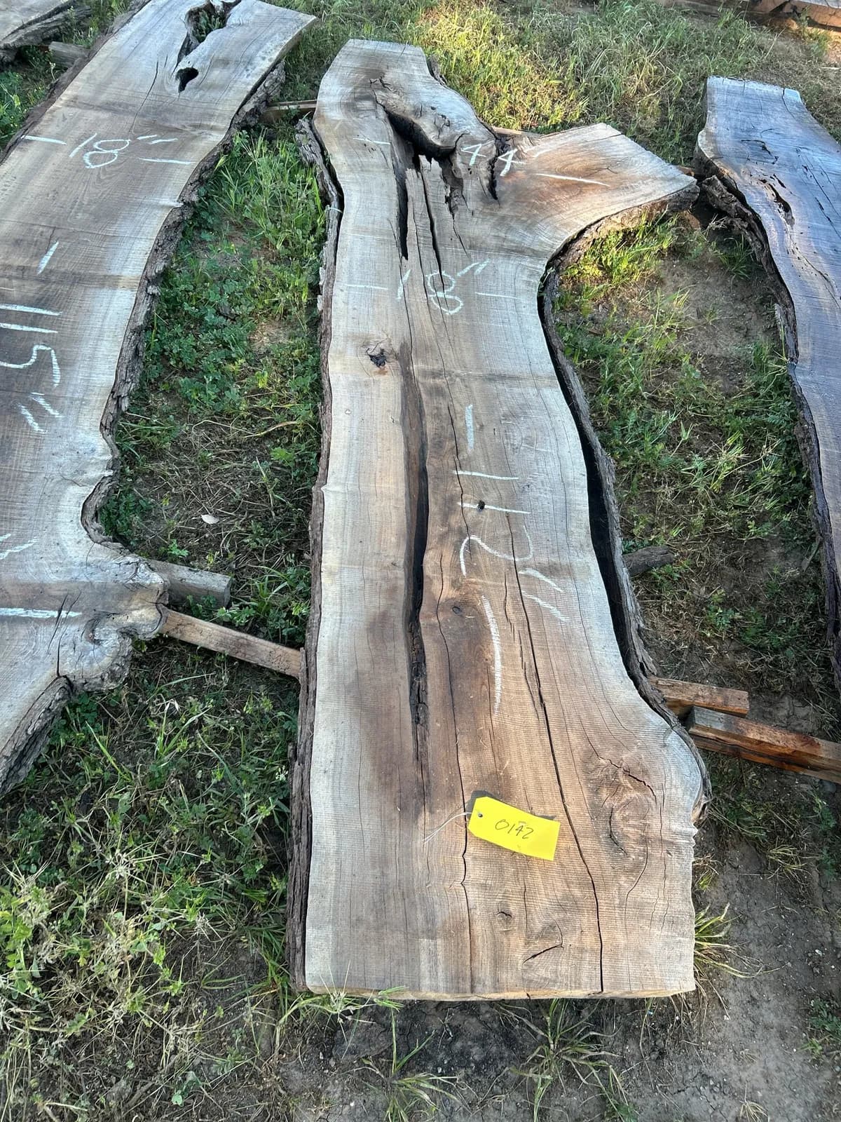 black-walnut-slab-5629fd