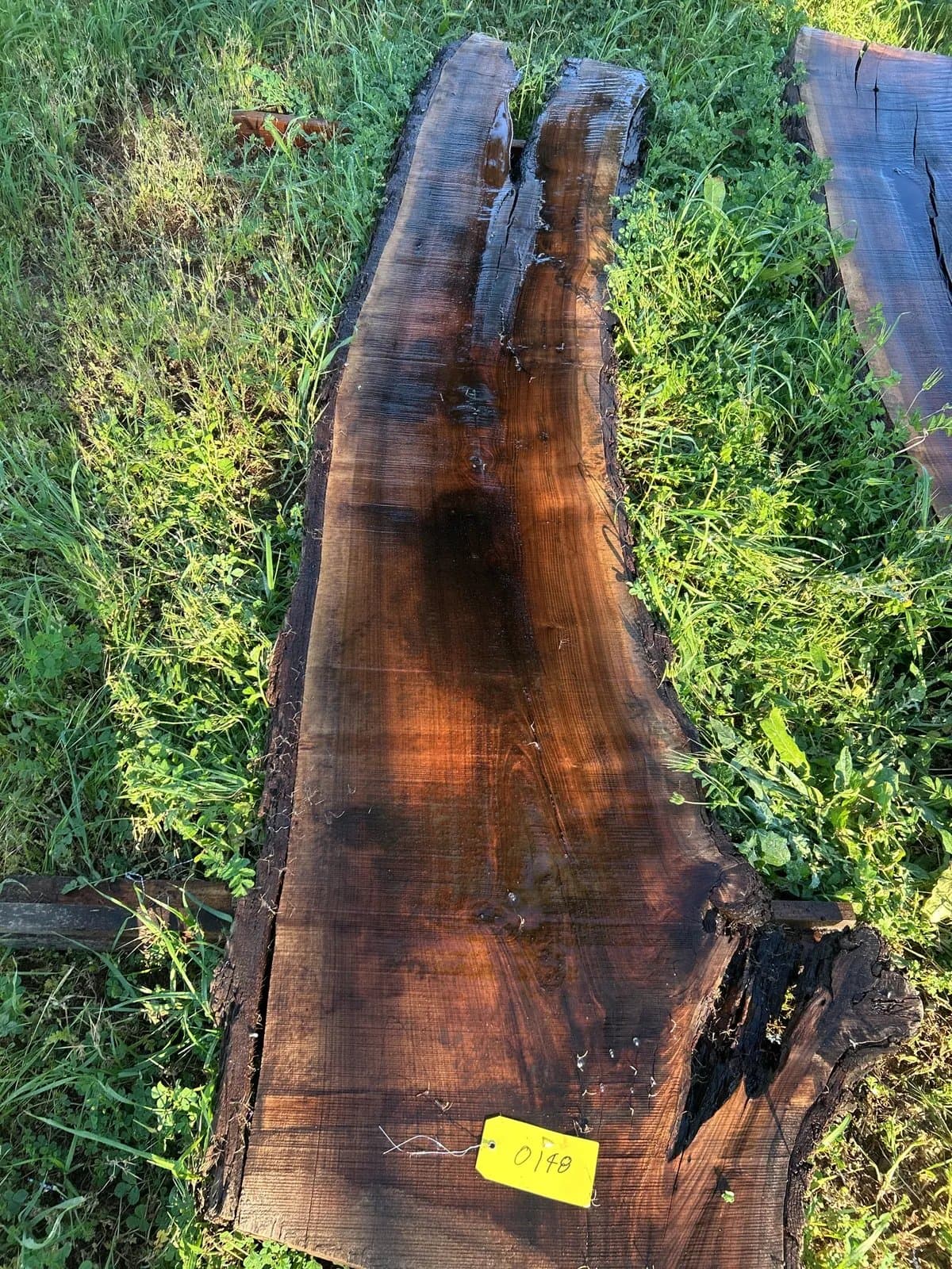 black-walnut-slab-bb20be