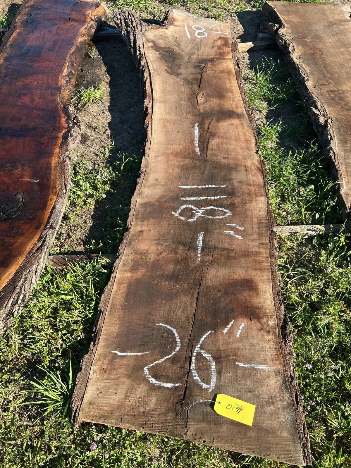 black-walnut-slab-258364