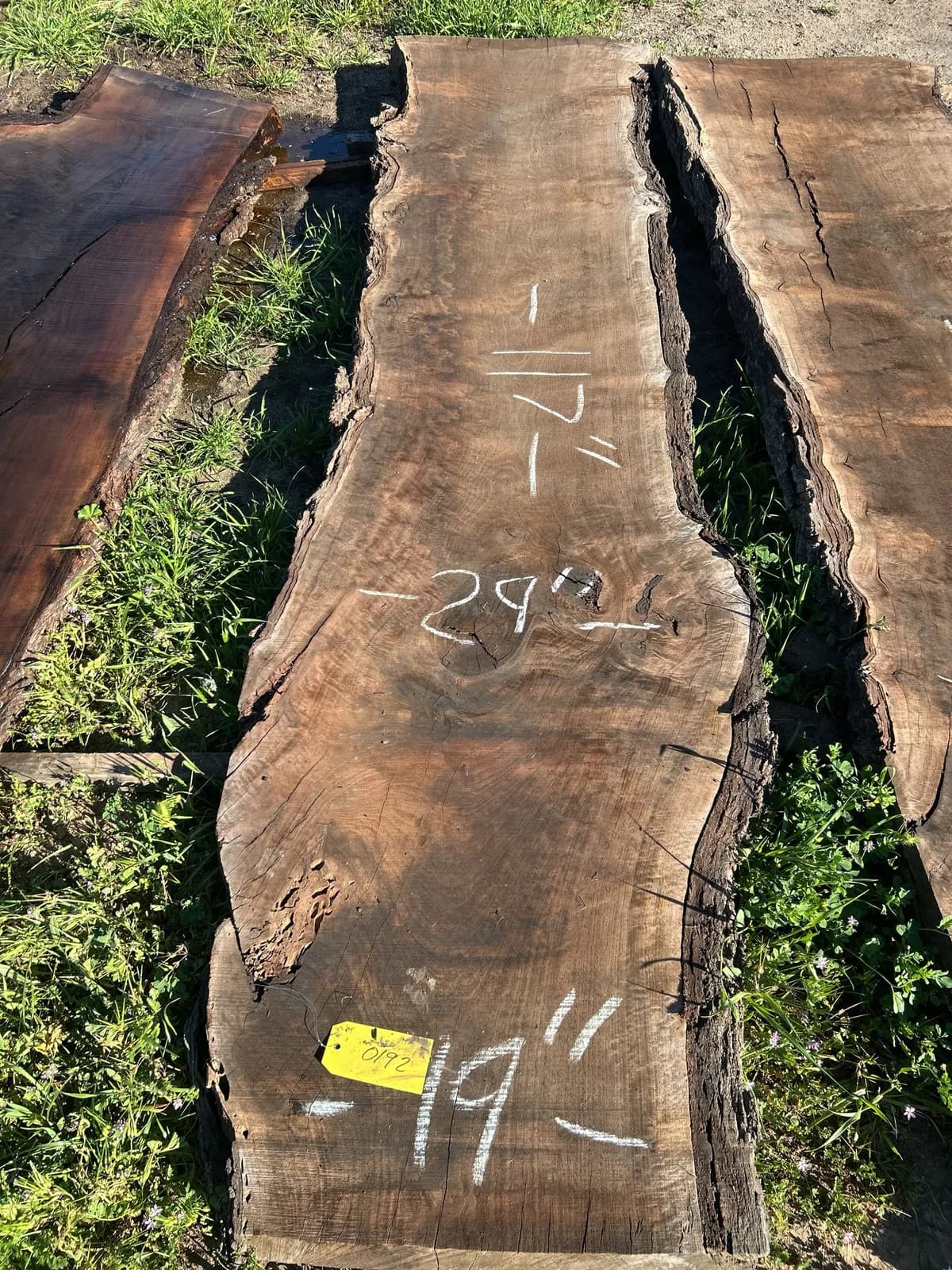 black-walnut-slab-785fed