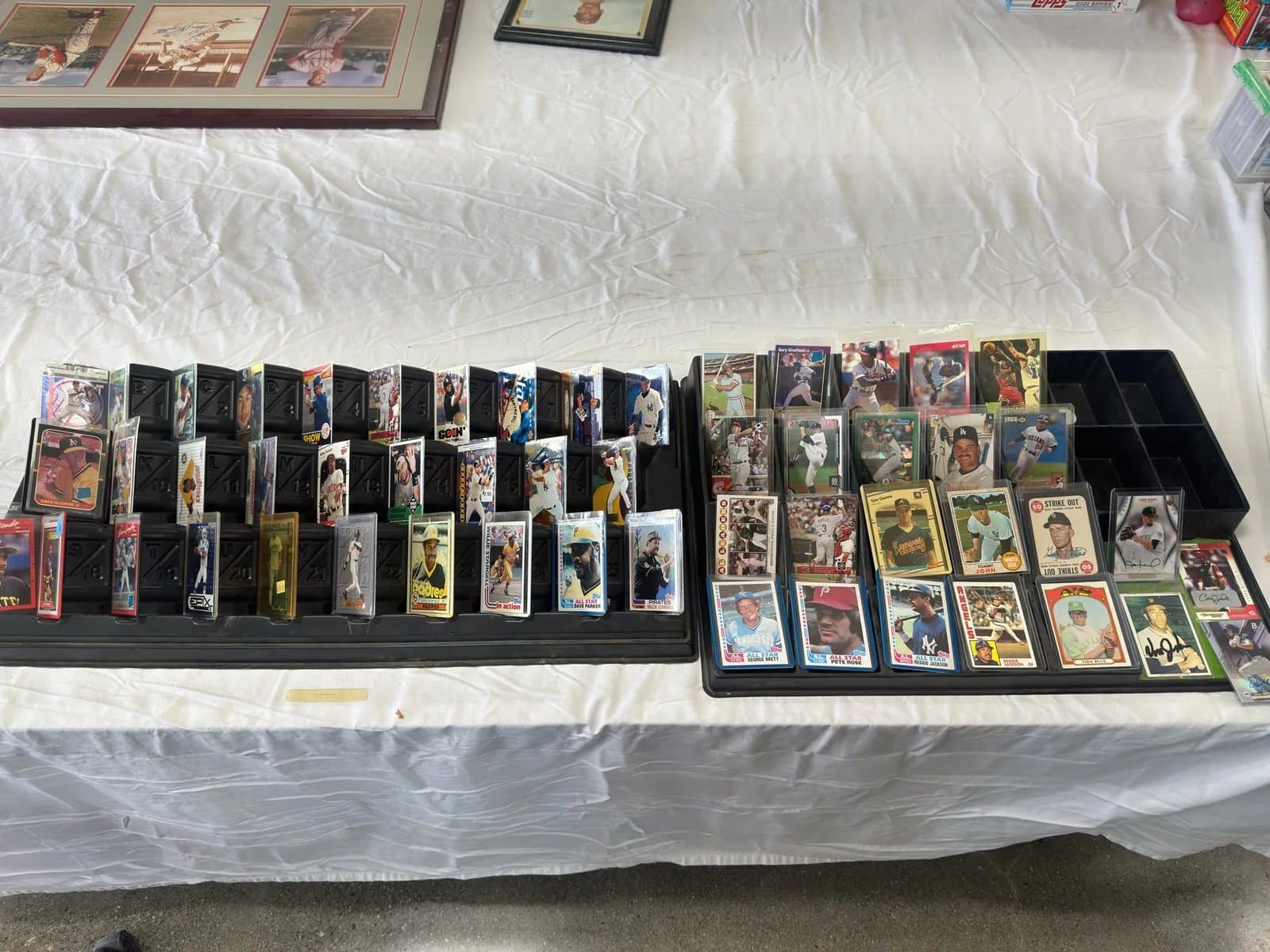 sports-trading-cards-mndicx65