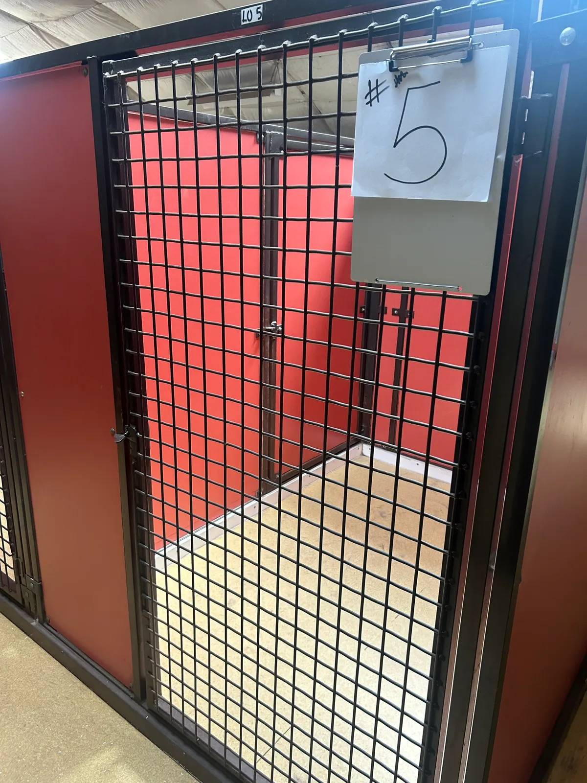 5-dog-kennels-mnjhkkly