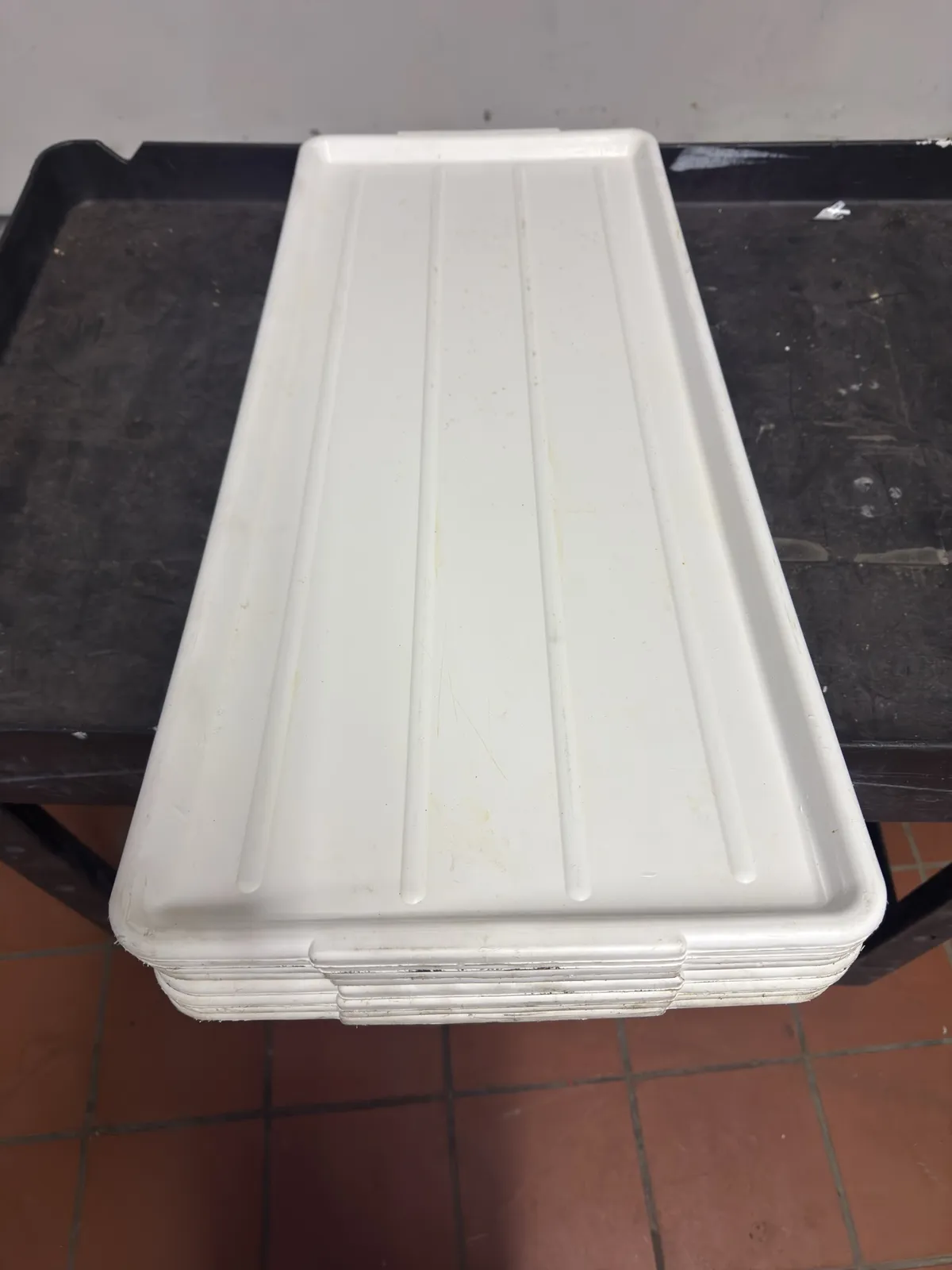 8-sani-platers-mngb4ozx