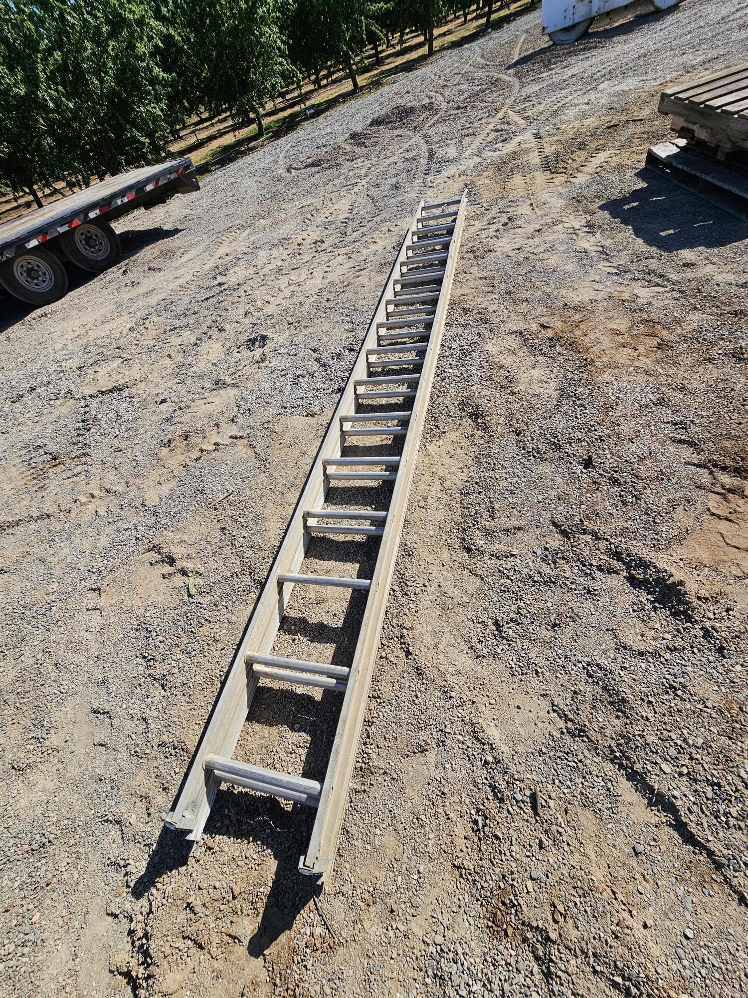 extension-ladder-4865f1