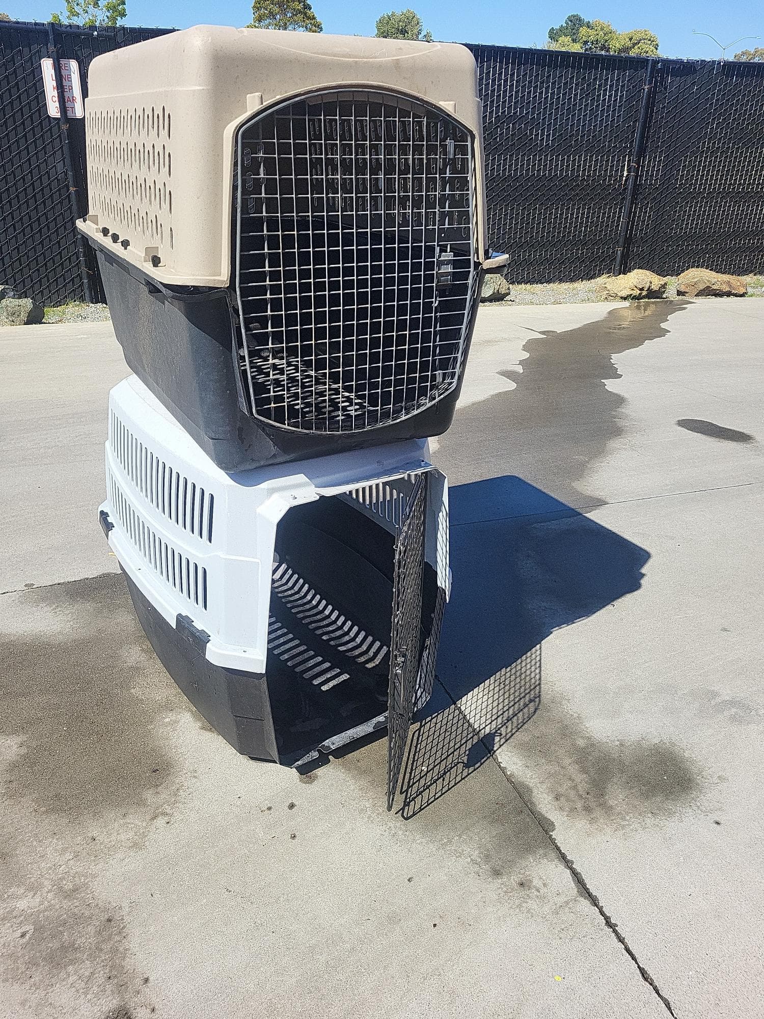 2-large-dog-kennels-movt3ks0