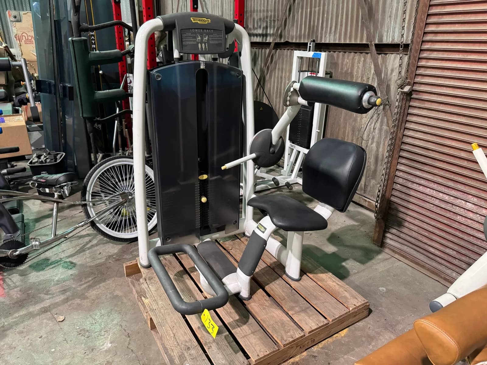 technogym-lower-back-mpcnlwi8
