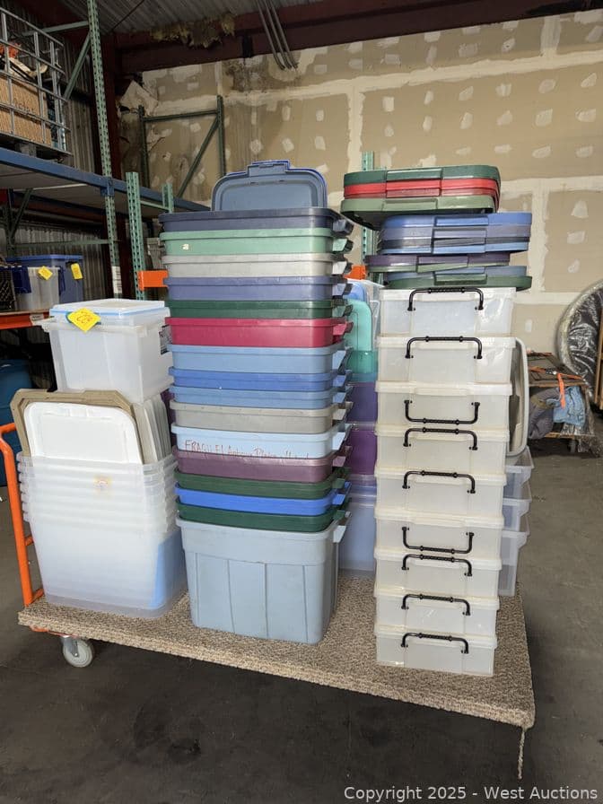 bulk-lot-shop-cart-with-approximately-55-assorted-totes-622654