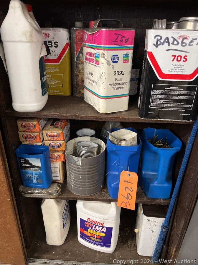 contents-of-3-shelves-assorted-chemicals-hardware-and-more-566245