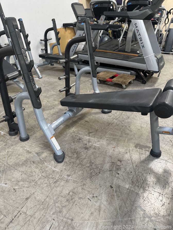 matrix-flat-bench-with-weight-tree-574277