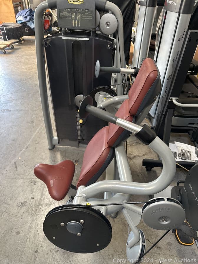technogym-arm-extension-574269