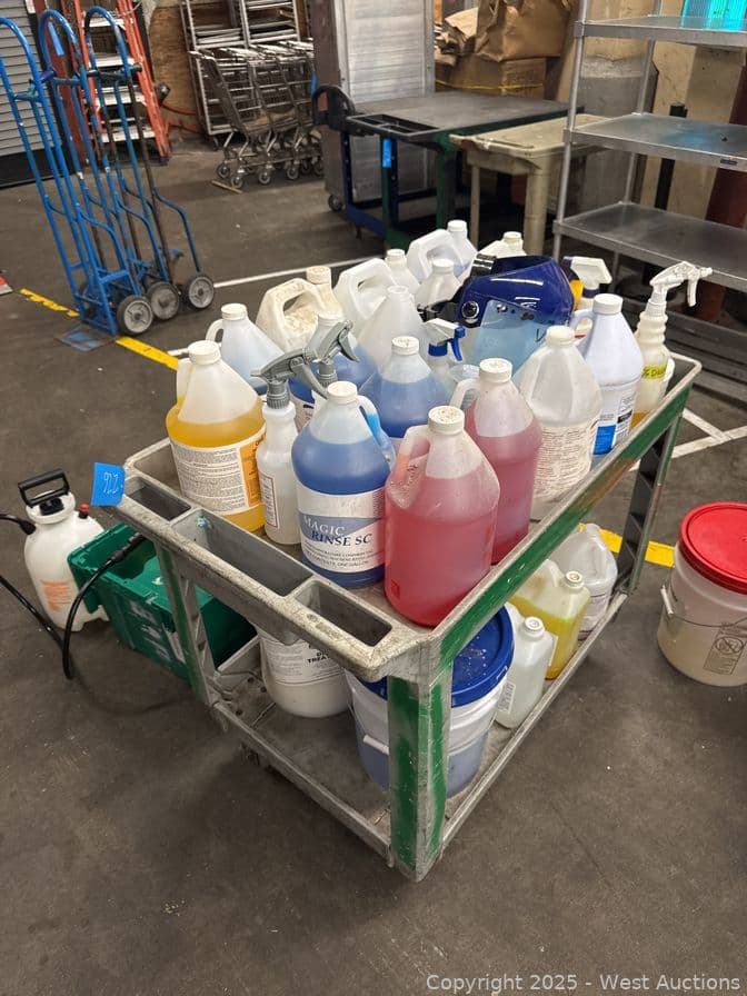 rolling-shop-cart-with-contents-assorted-cleaning-supplies-paint-and-more-584126