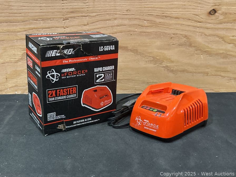 echo-eforce-56-volt-rapid-charger-99-retail-price-585969