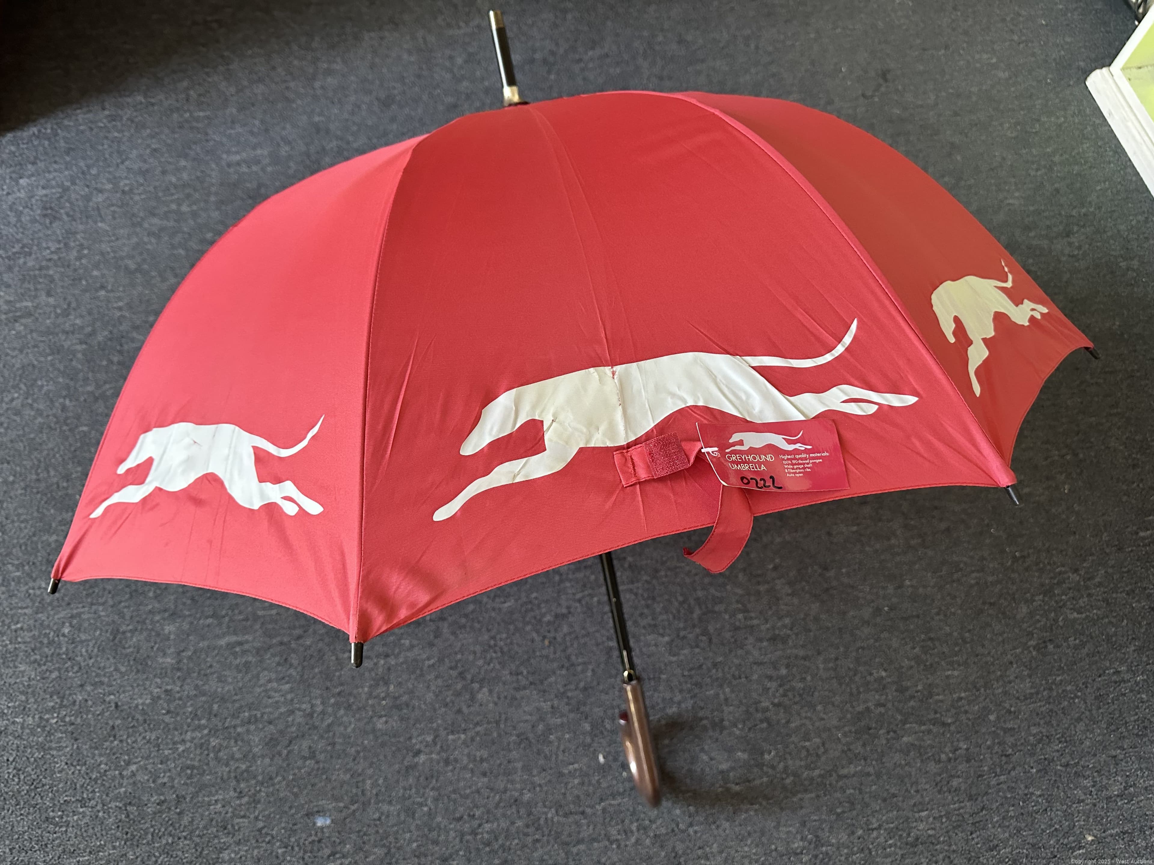 greyhound-umbrella-613280