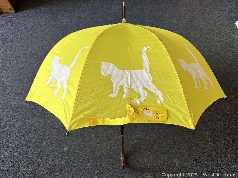 cat-umbrella-613276