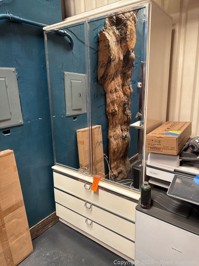 wood-mirrored-cabinet-with-contents-assorted-office-supply-594073