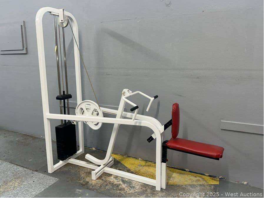 maxicam-ab-back-strength-training-machine-597570