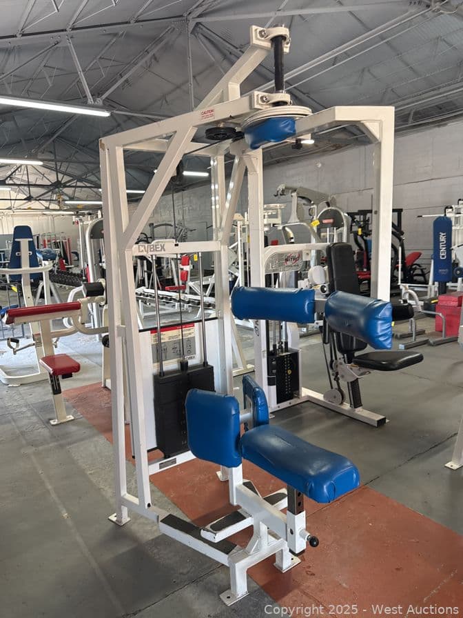 cybex-rotary-torso-4201-machine-597604