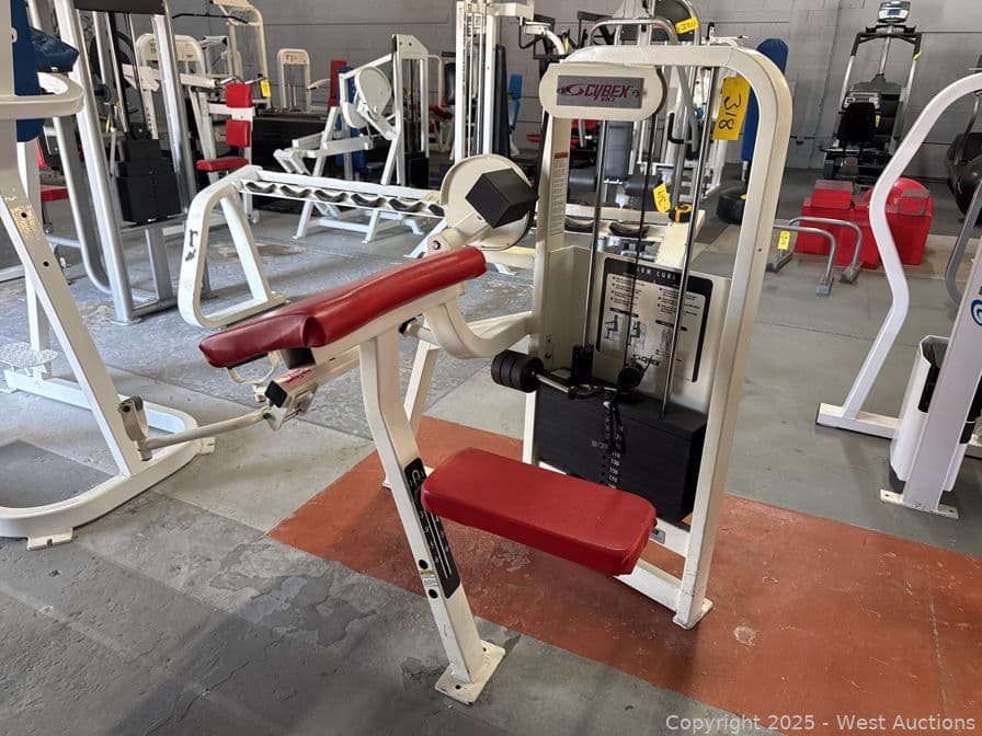 cybex-vr2-arm-curl-machine-597602