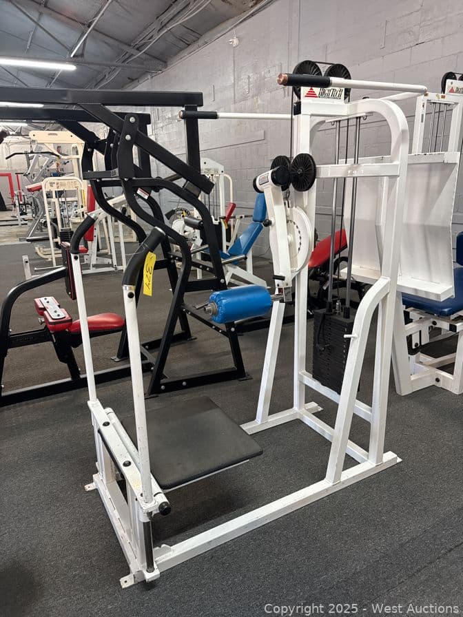 high-tech-professional-strength-systems-hip-and-thigh-machine-597596