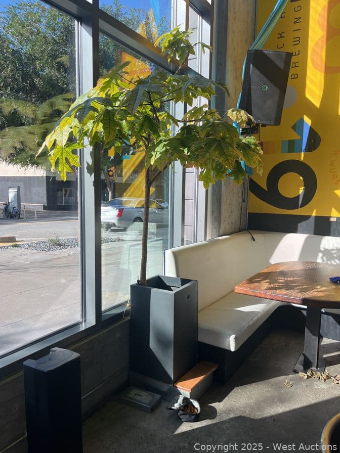 8-5-tree-with-planter-618315